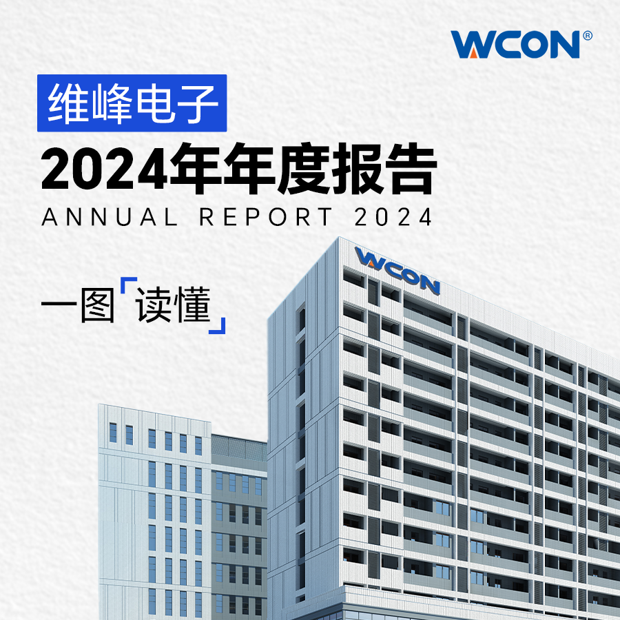 Rapport annuel 2024