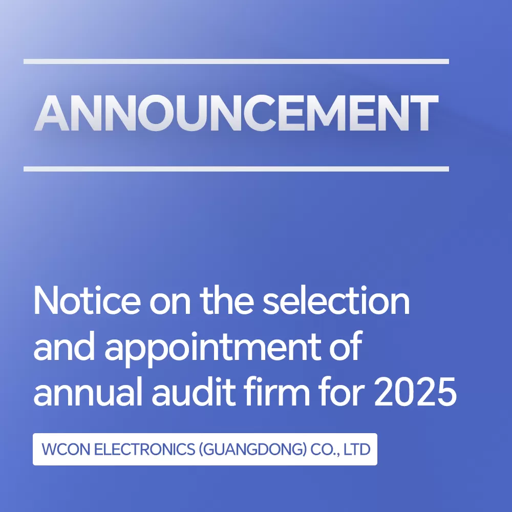 Notice on the Selection and Appointment of the Audit Firm for the Year 2025